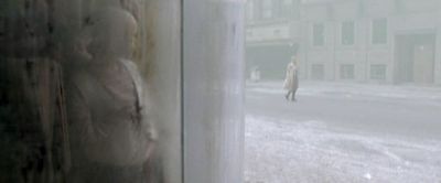 shtrailer34.jpg