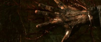 shtrailer81.jpg