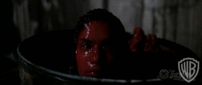 runredtrailer50.jpg