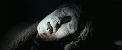 whiteouttrailer43.jpg