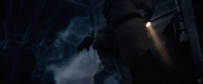 whiteouttrailer65.jpg