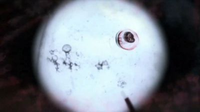 prototype2trailer63.jpg