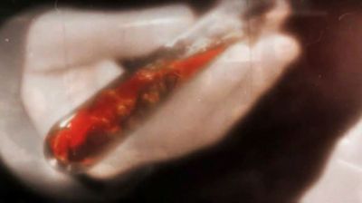 prototype2trailer67.jpg