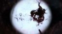 prototype2trailer61.jpg