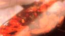 prototype2trailer68.jpg