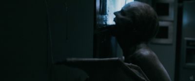 cap109.jpg